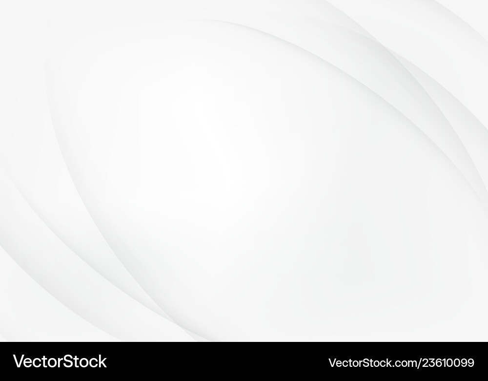 Grey Swoosh Curve Line Pattern vector image