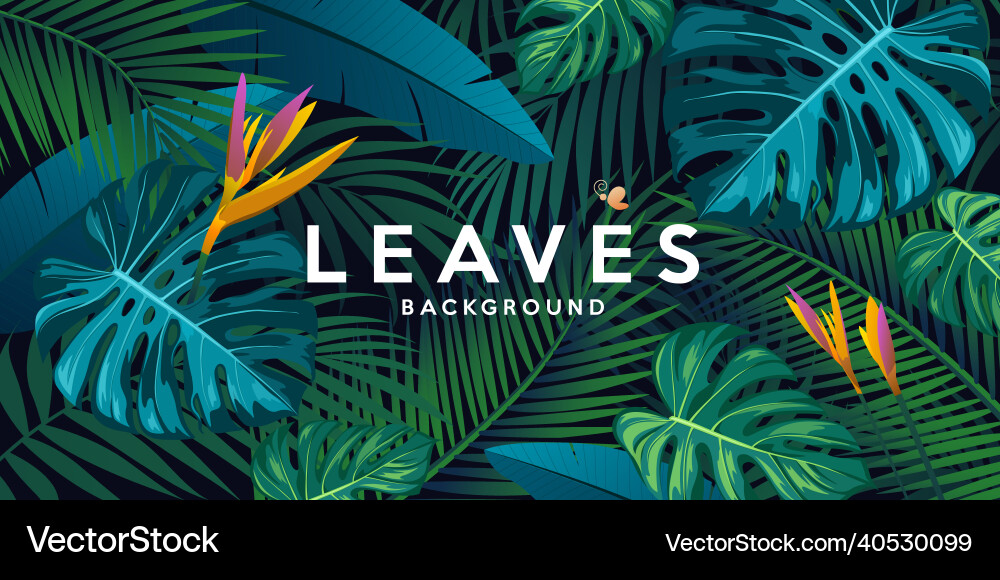 Tropical Leaf & Flower Background Vector Image