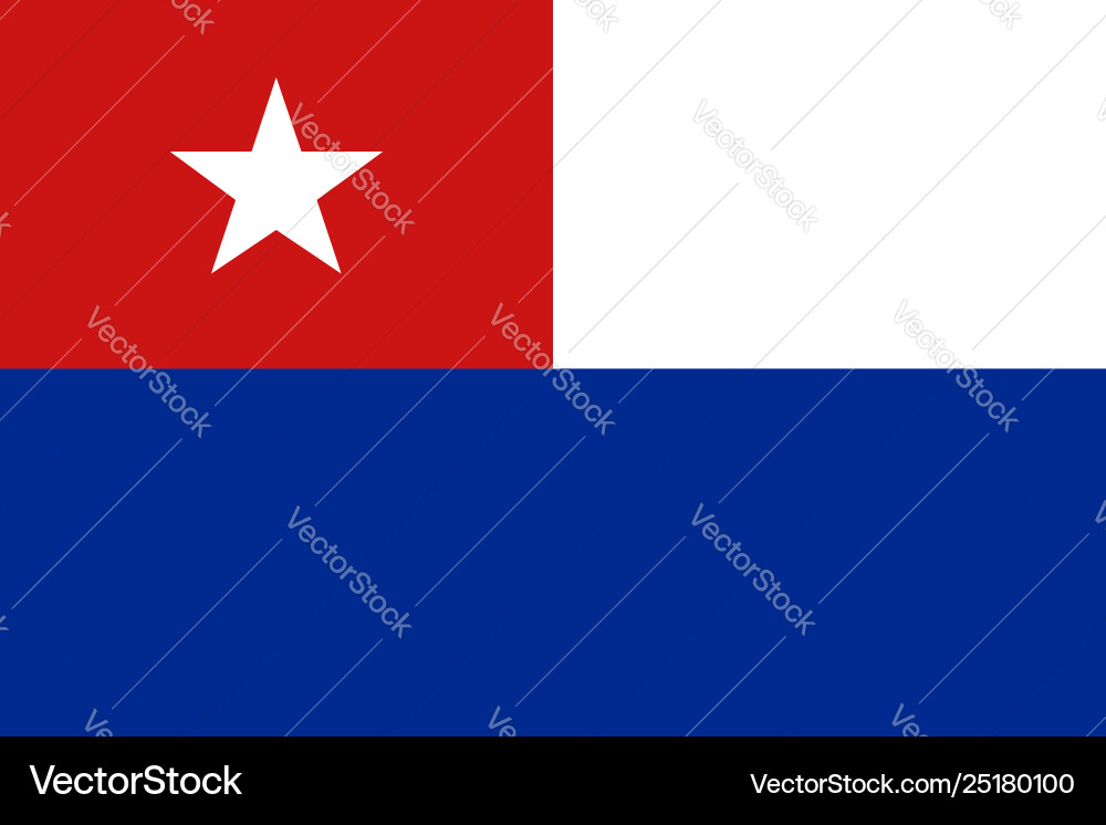 Flag rectangular shape vector image