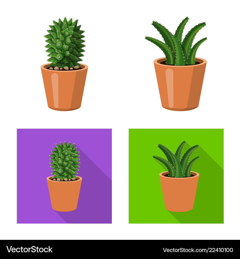 Isolated object of cactus and pot symbol set Vector Image