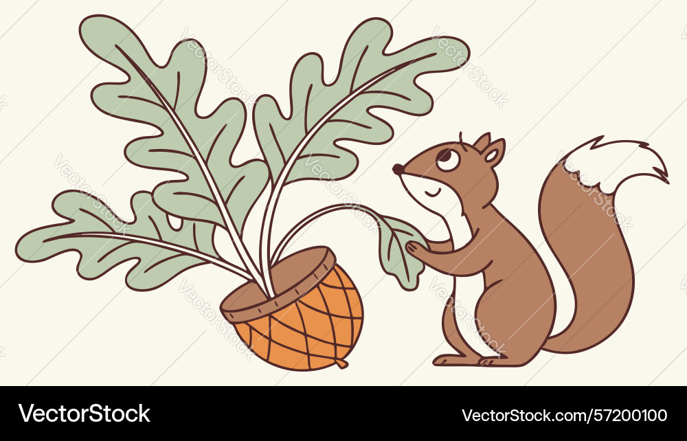 Pair of playful squirrels with an acorn design vector image