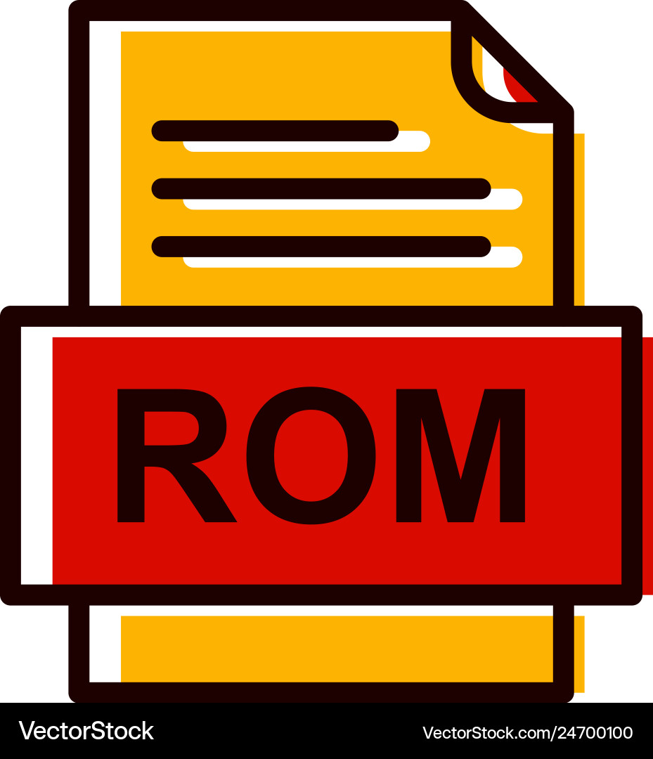 Rom file document icon Vector Image
