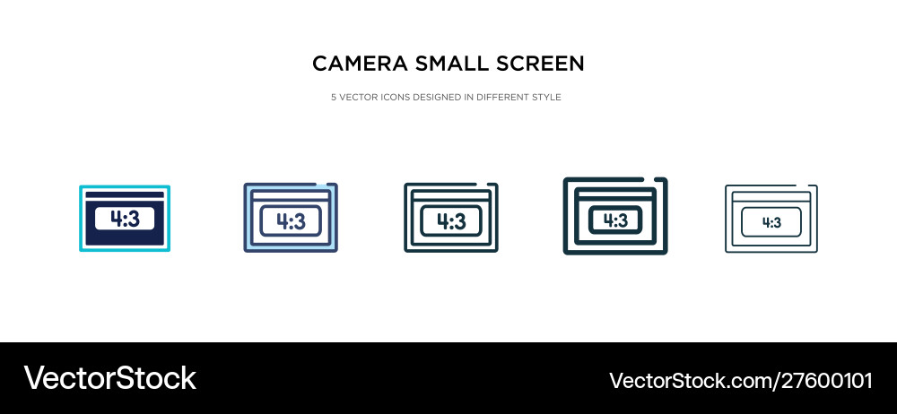 Camera small screen size icon in different style Vector Image