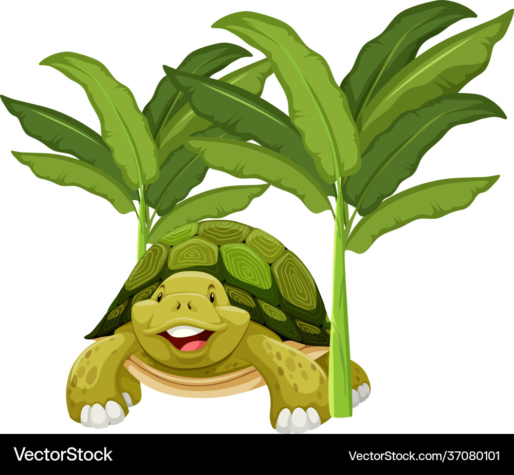 Turtle cartoon character with banana tree isolated Turtle cartoon character with banana tree isolated vector image
