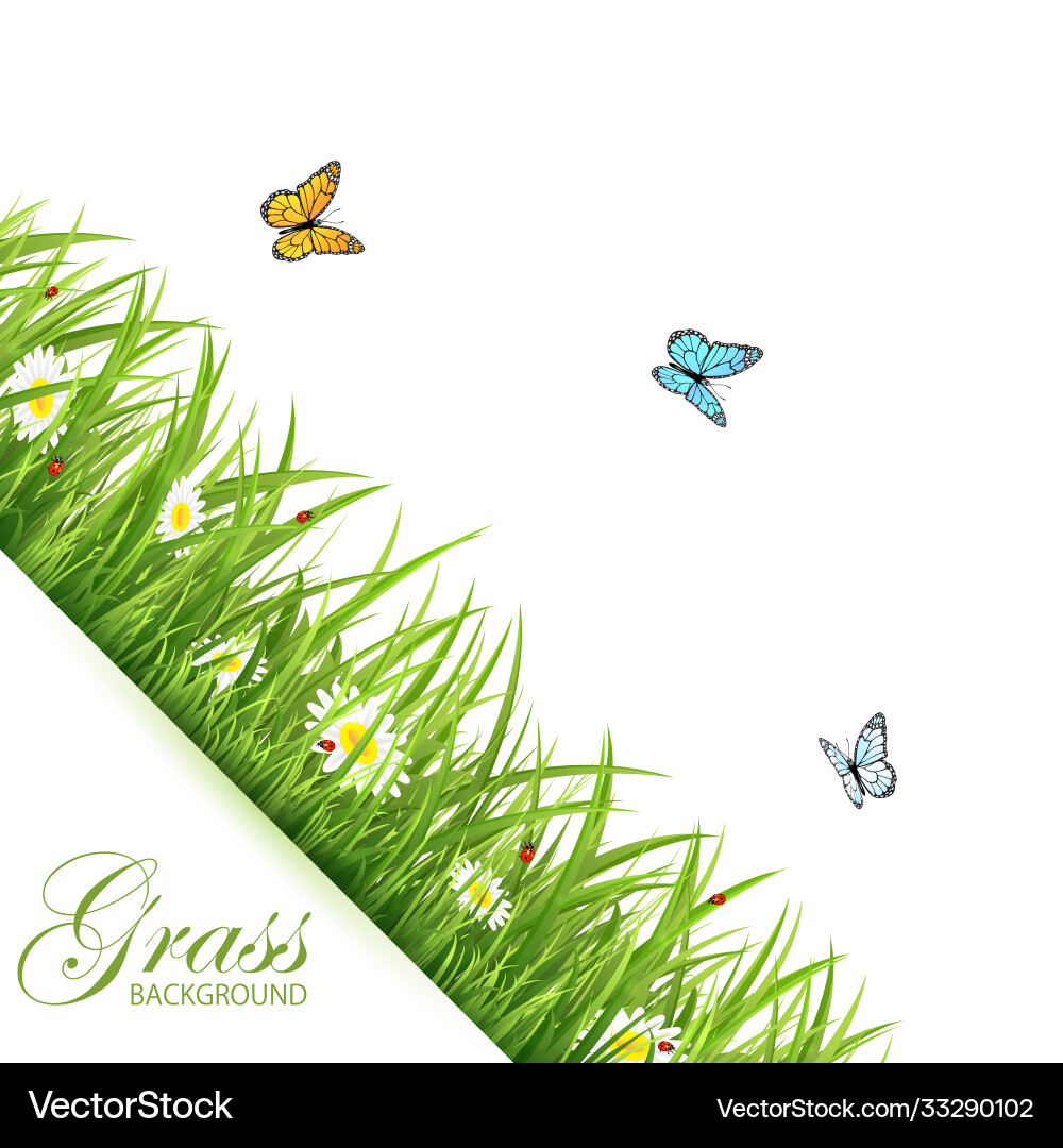 Background with grass and butterflies Background with grass and butterflies Vector Image