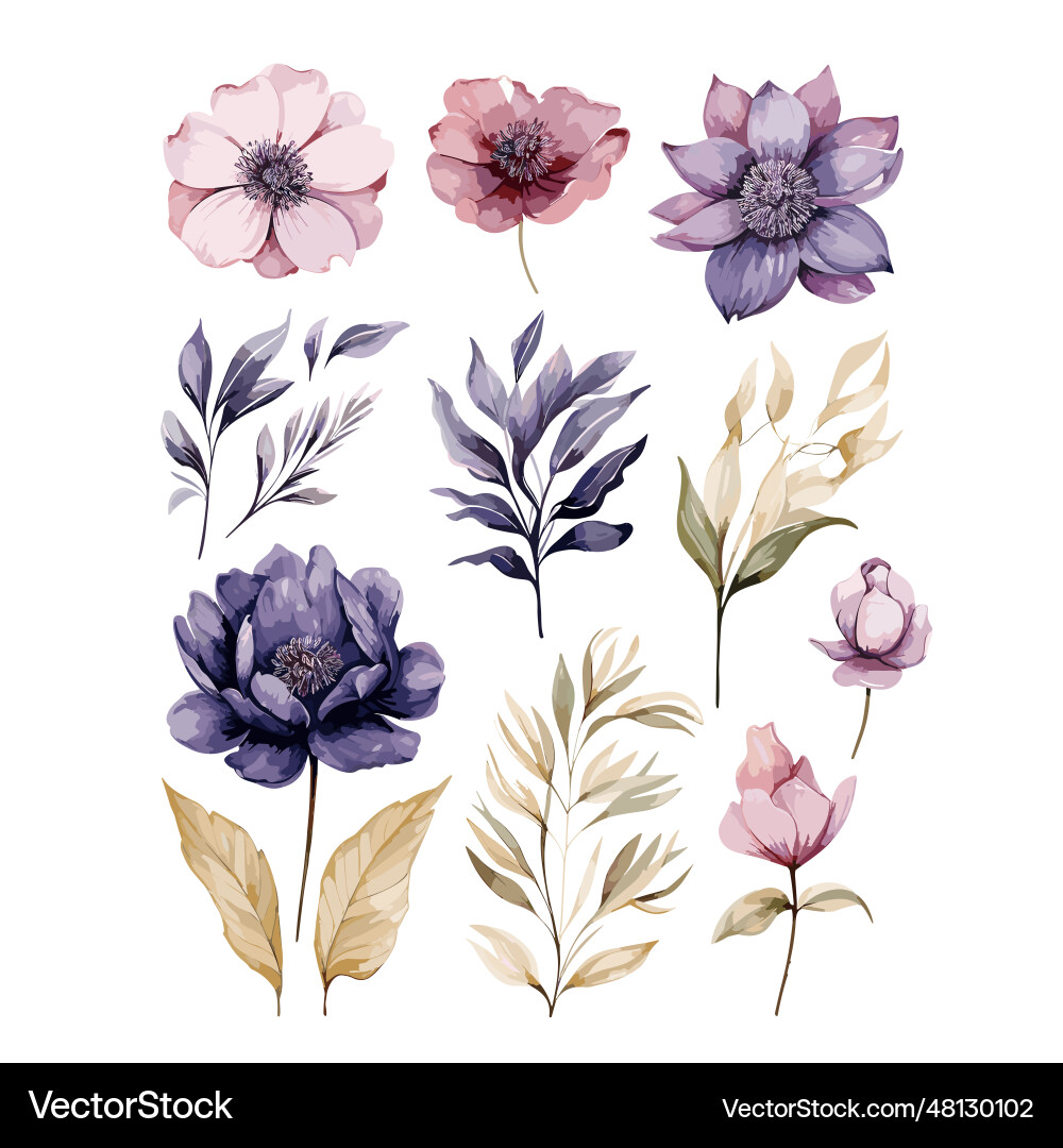 Hand drawn watercolor flower set Hand drawn watercolor flower set vector image