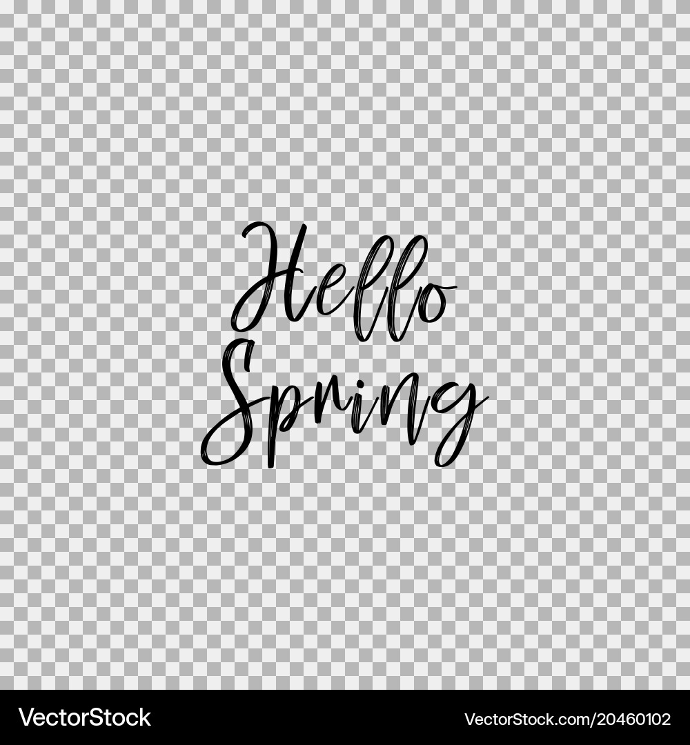 Hello spring transparent background vector image