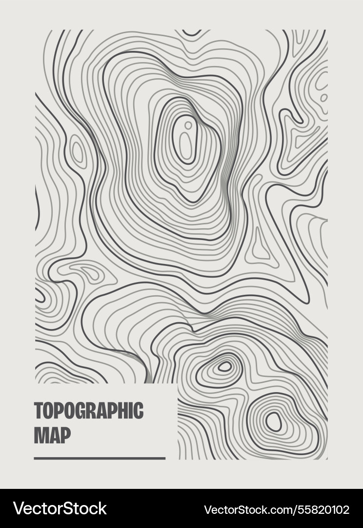 Topographic map contour lines Vector Image