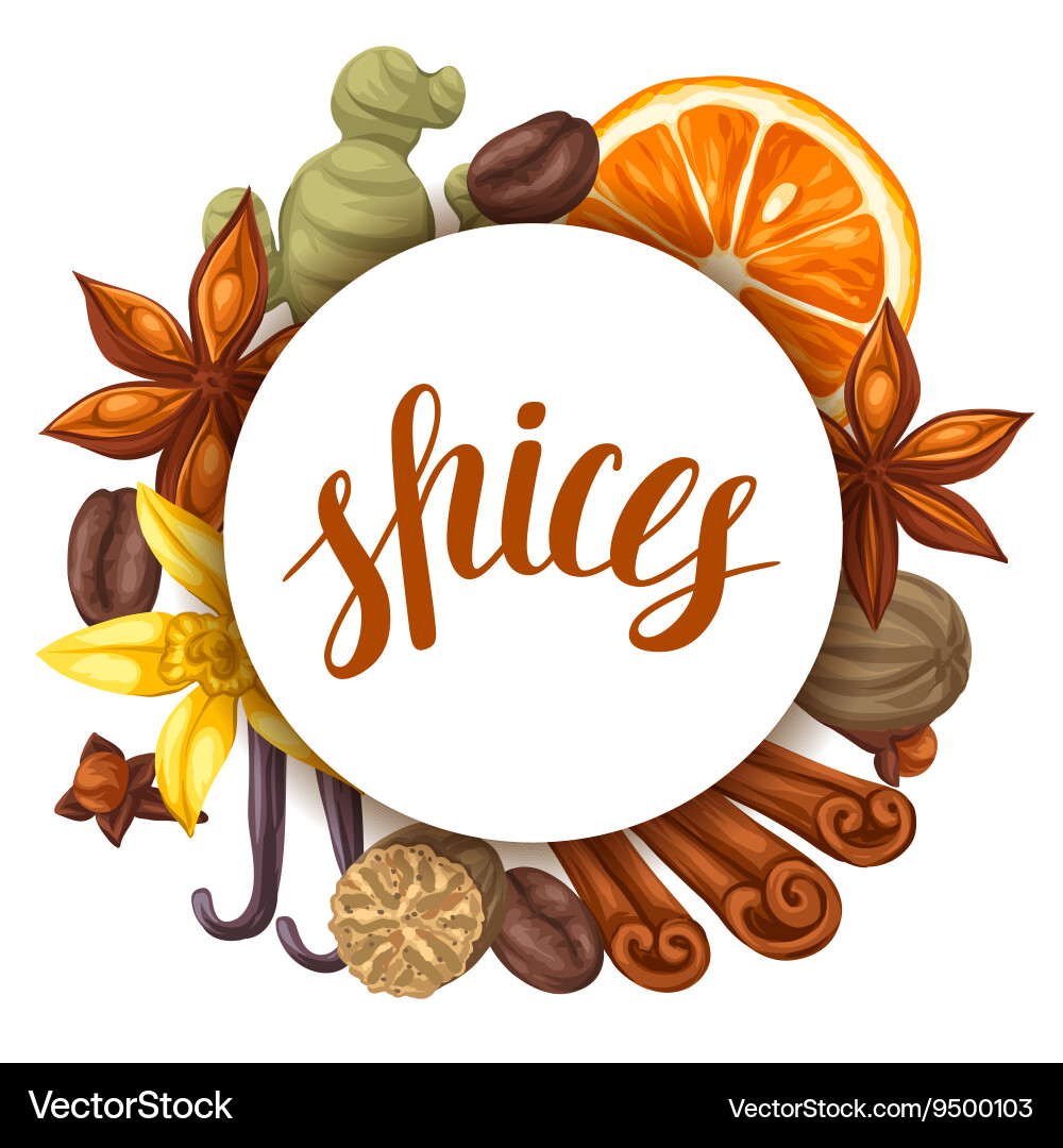 Background design with various spices vector image