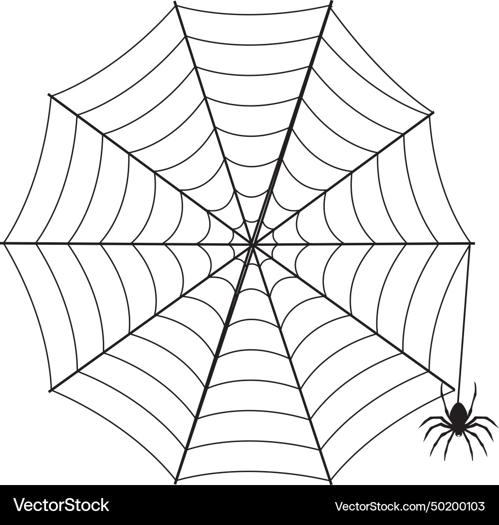 Cobweb icon Cobweb icon vector image