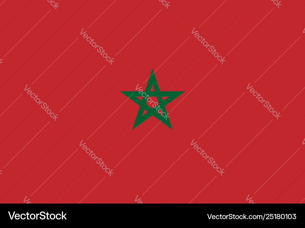 Flag rectangular shape Flag rectangular shape vector image