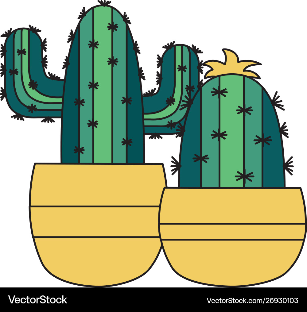 Isolated cactus inside pots design Vector Image
