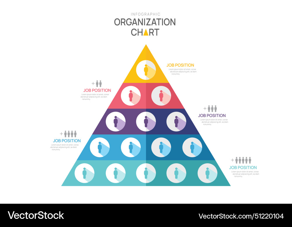 Infographic template for organization chart Infographic template for organization chart Vector Image