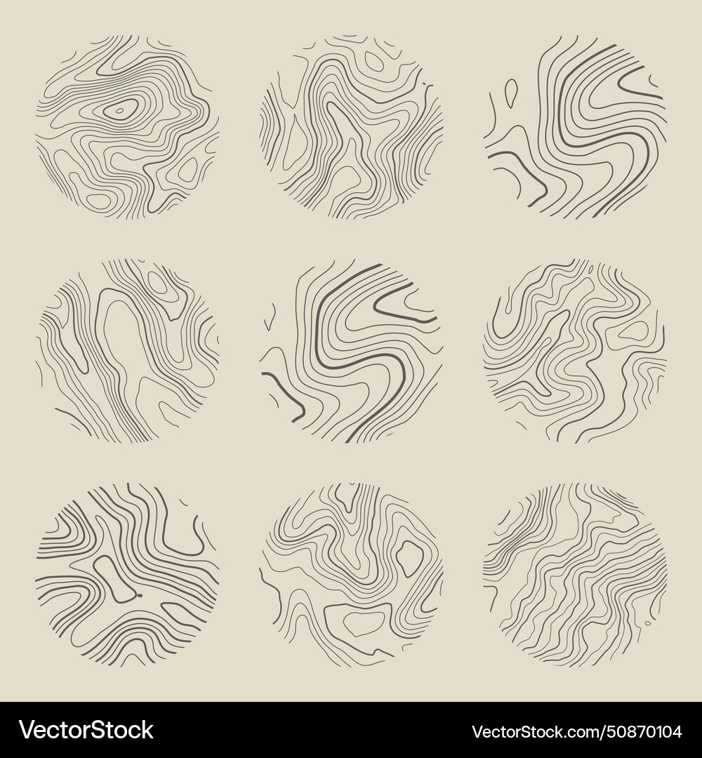 Topographic map with contour lines geographic Topographic map with contour lines geographic vector image