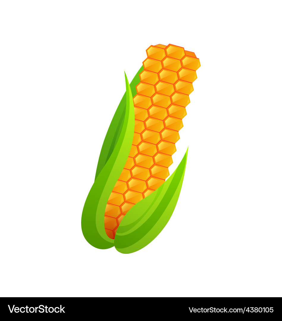 Corn Royalty Free Vector Image - VectorStock