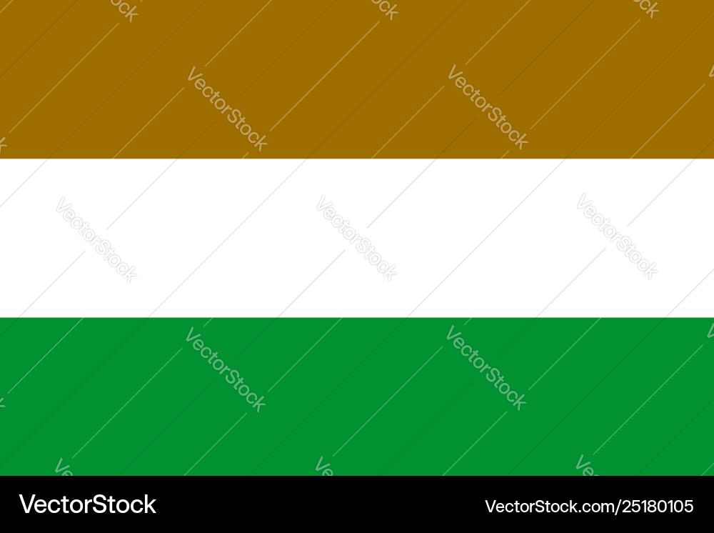 Flag rectangular shape Flag rectangular shape vector image