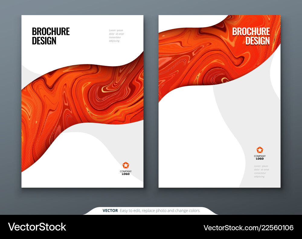 Brochure template layout design corporate Brochure template layout design corporate vector image