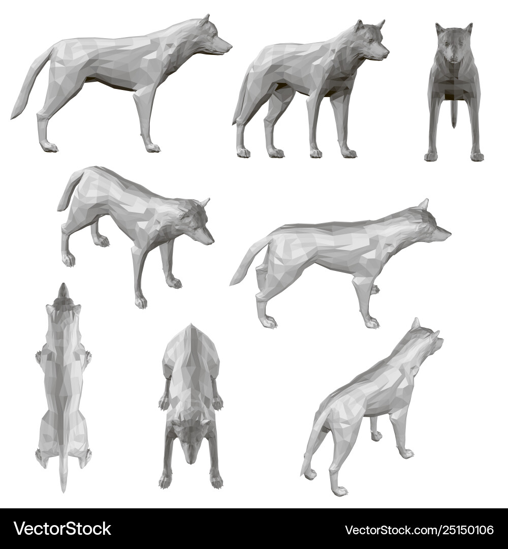 Set with coyote in different positions polygonal Vector Image