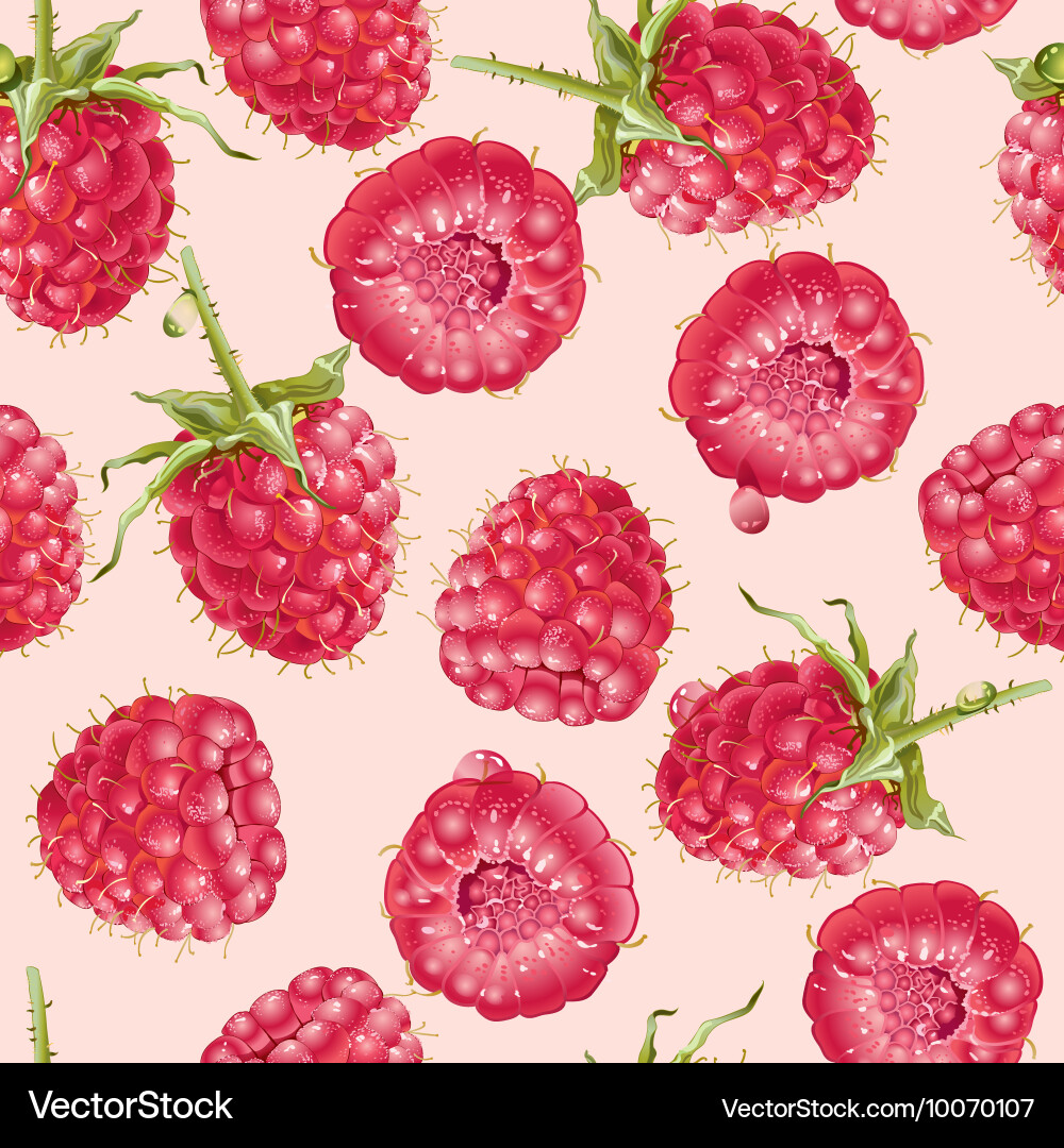 Raspberry Seamless Pattern vector image