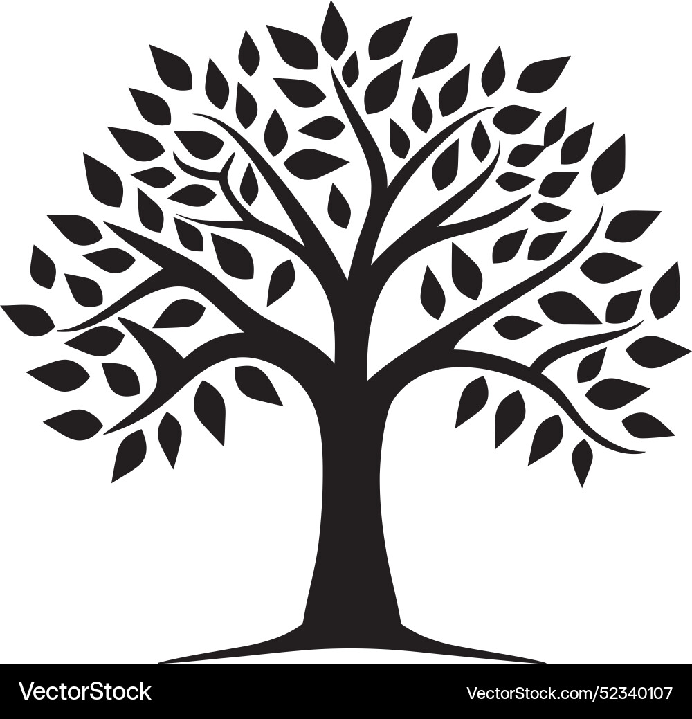 Shadows and silhouettes a trees Royalty Free Vector Image