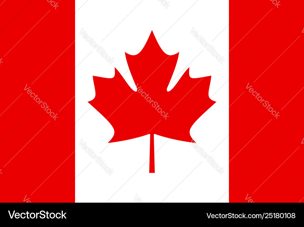Flag rectangular shape vector image
