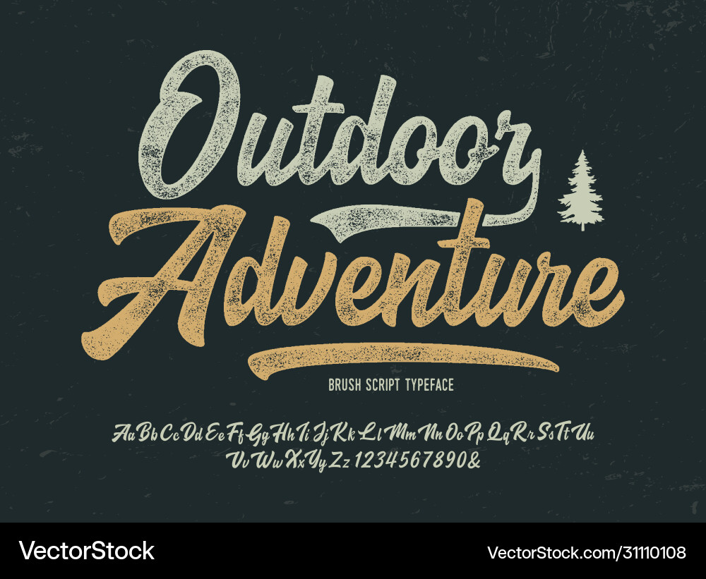 Retro Brush Script Font - Adventure Style Vector Image