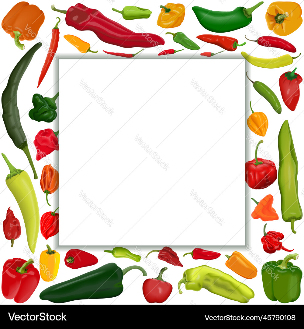 Square Banner mit verschiedenen Arten von Paprika Square Banner mit verschiedenen Arten von Paprika vektorbild