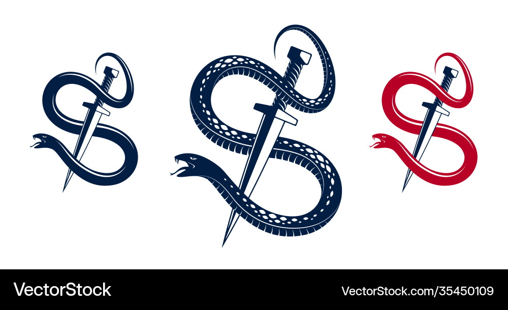 Dagger kills a snake defeated serpent wraps Dagger kills a snake defeated serpent wraps vector image