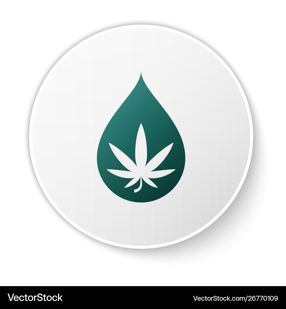 Green medical marijuana or cannabis leaf olive oil Green medical marijuana or cannabis leaf olive oil vector image