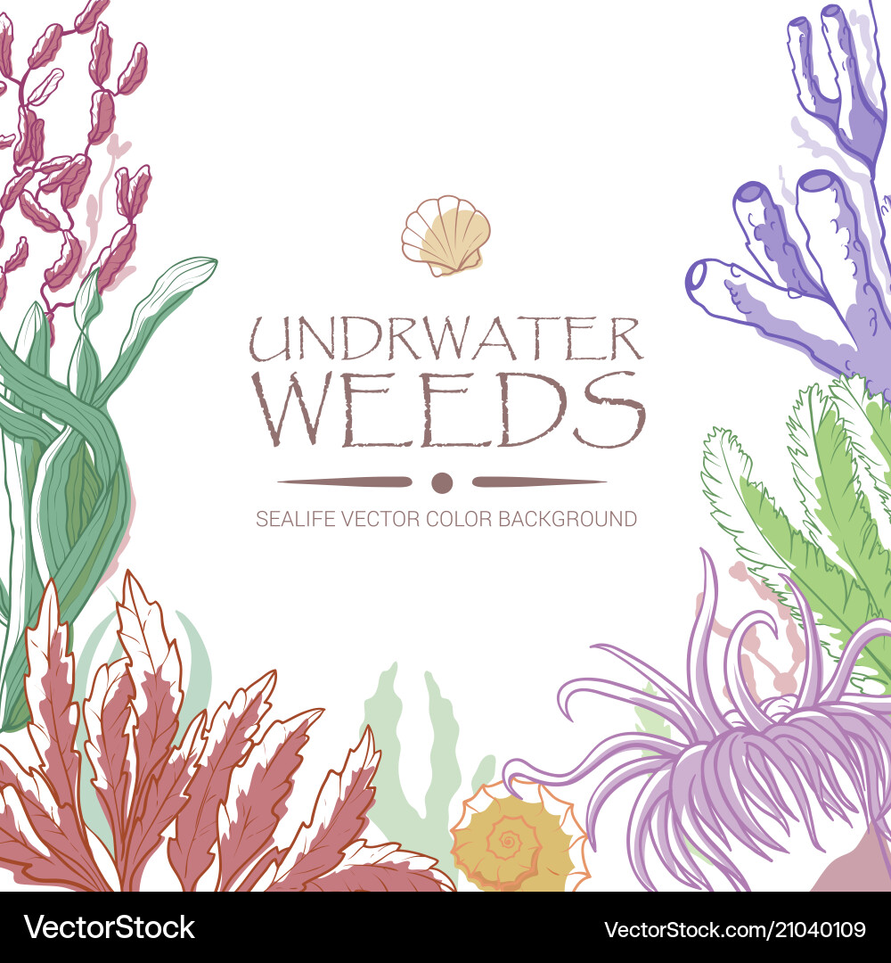 Underwater weeds color background Underwater weeds color background vector image