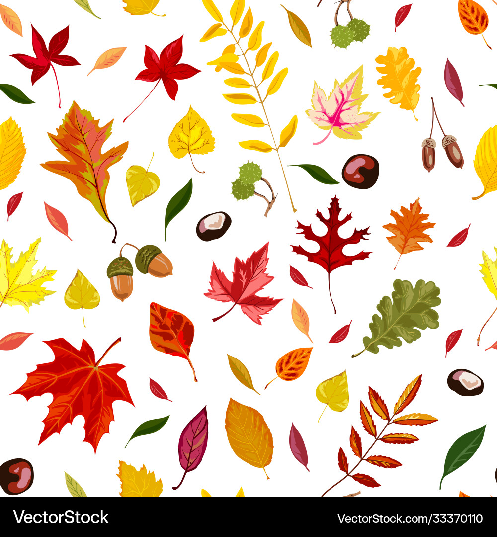 Autumn leaves acorns and chestnut seamless Autumn leaves acorns and chestnut seamless vector image