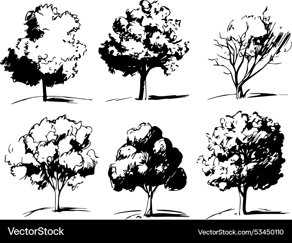 Set trees vector image