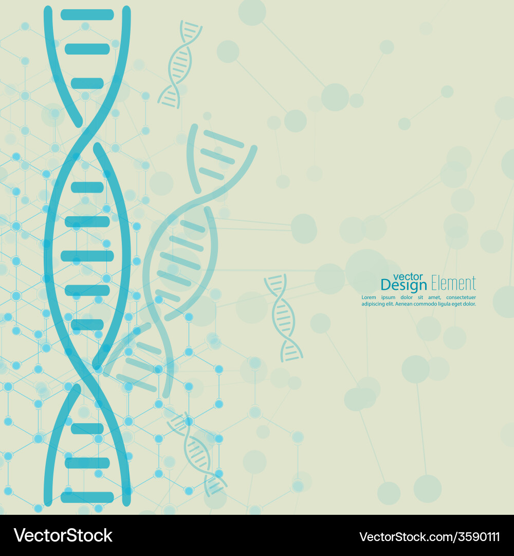 Abstract background with dna molecule structure vector image