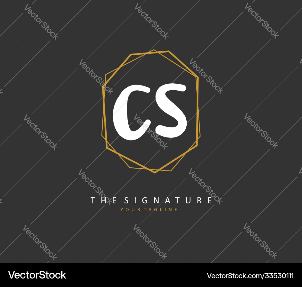 C s cs initial letter handwriting and signature Vector Image