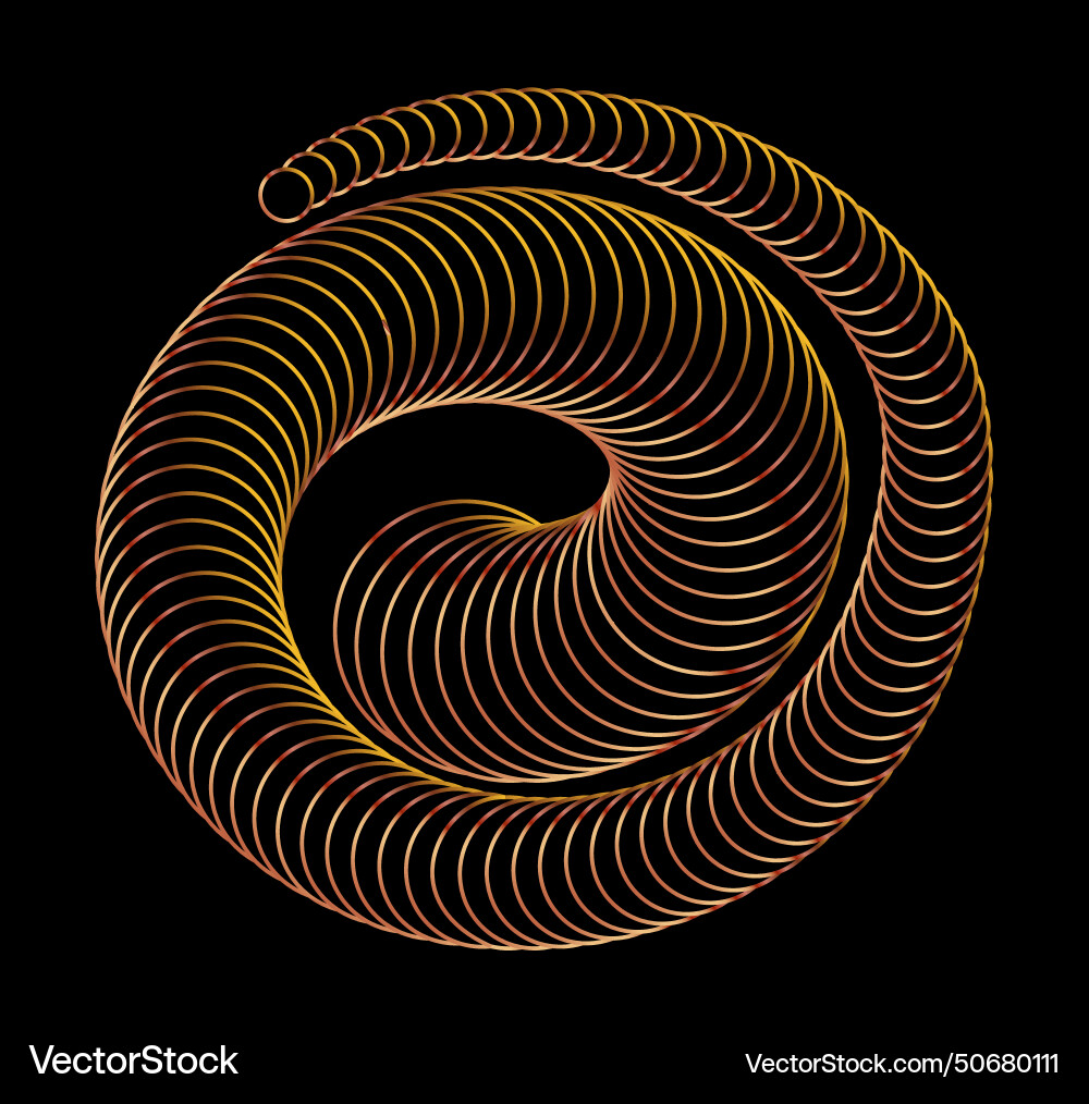 Spiral the dynamic shape of parallel lines vector image