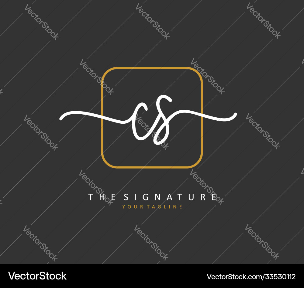 C s cs initial letter handwriting and signature C s cs initial letter handwriting and signature Vector Image