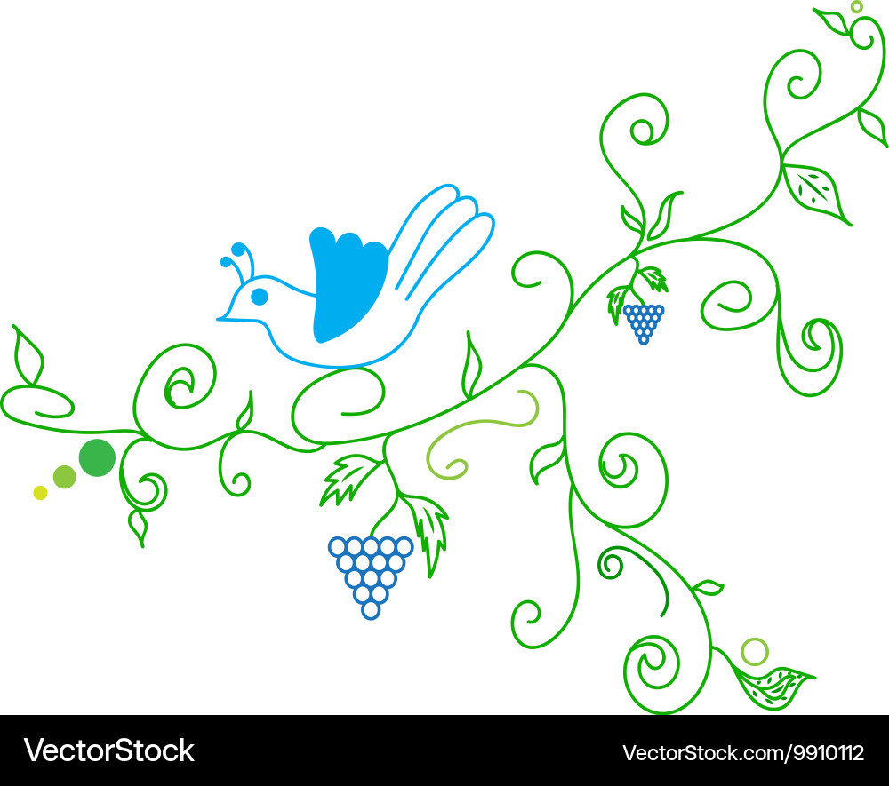 Doodle color abstract vine grape and bird vector image