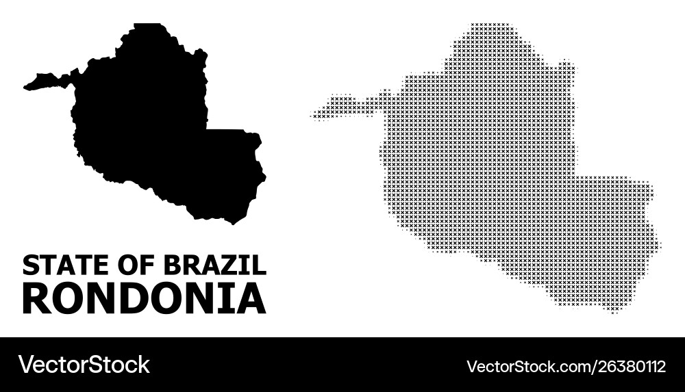 Halftone pattern and solid map rondonia vector image
