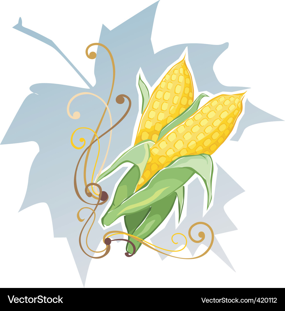 Maize Vector Image