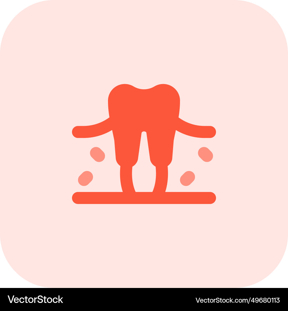 A tooth calcified structure found in the jaws Vector Image