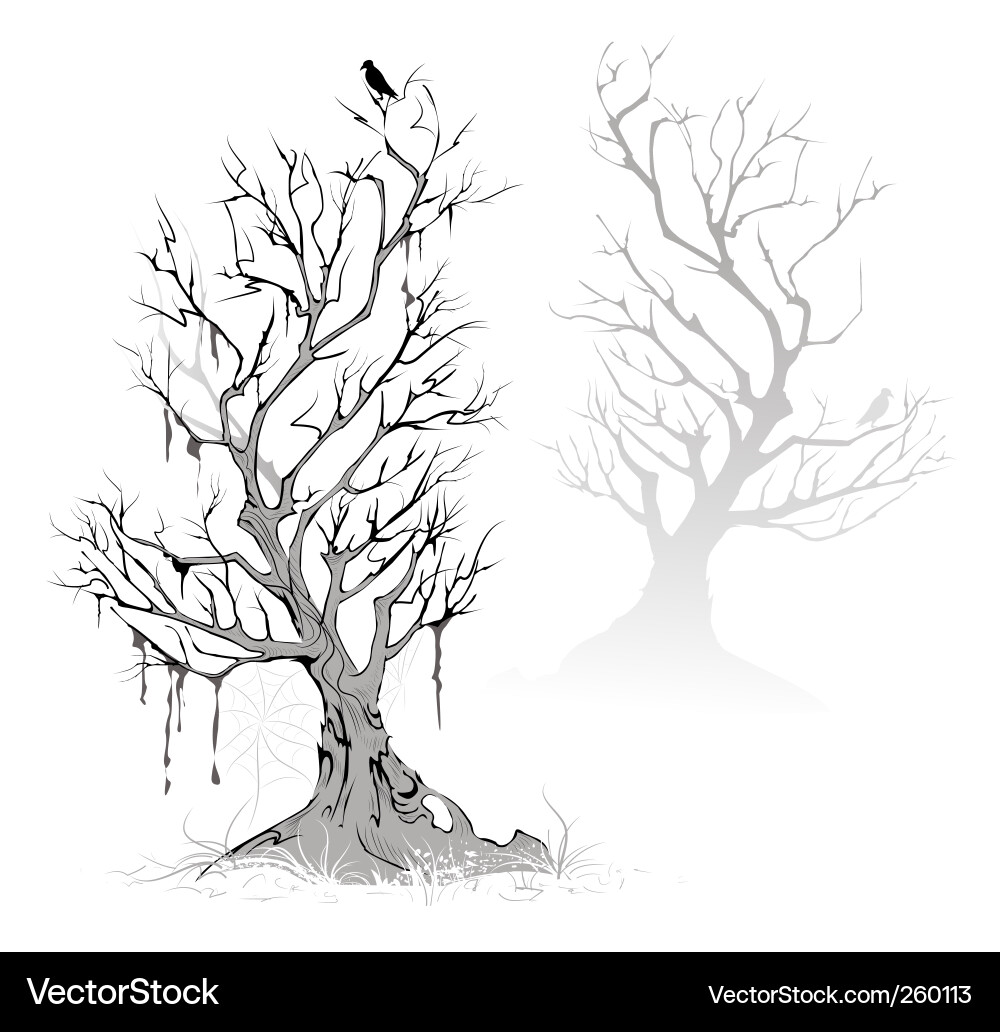 Eerie Swamp Trees Vector Image