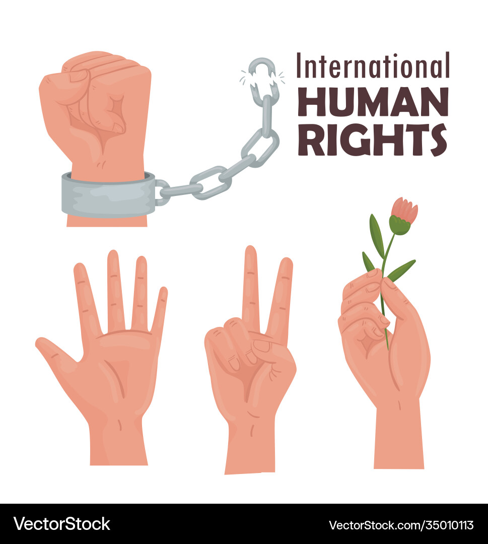 International human rights lettering poster International human rights lettering poster vector image