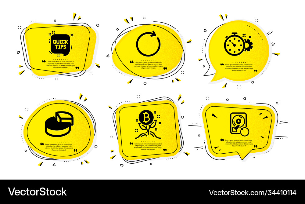 Bitcoin project pie chart and cogwheel timer vector image
