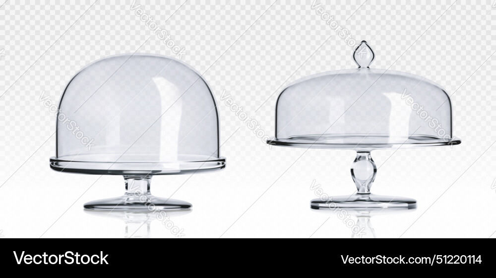 Glass cake stand plate and dome cover Royalty Free Vector