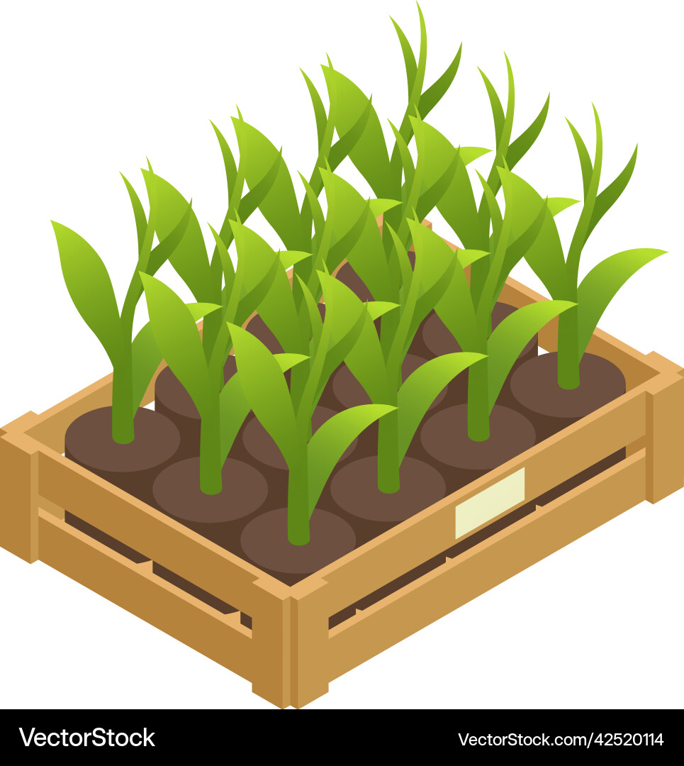 Modern greenhouse box composition Royalty Free Vector Image
