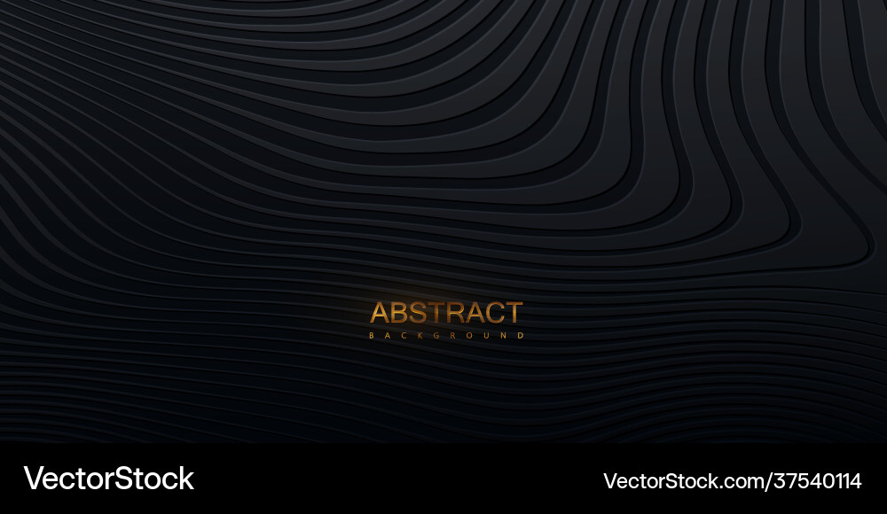 Topography relief abstract black background Vector Image