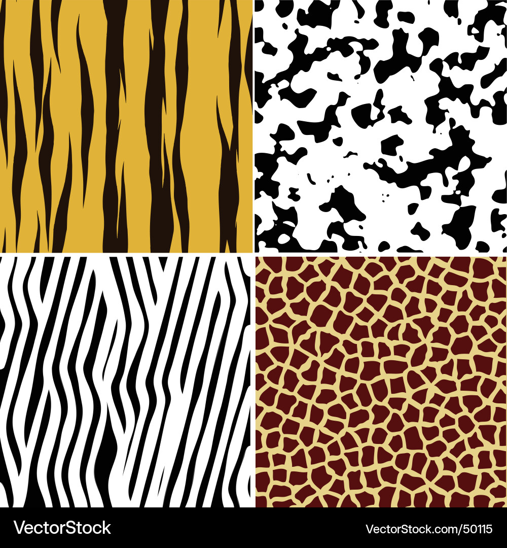 Animal Hide Patterns vector image