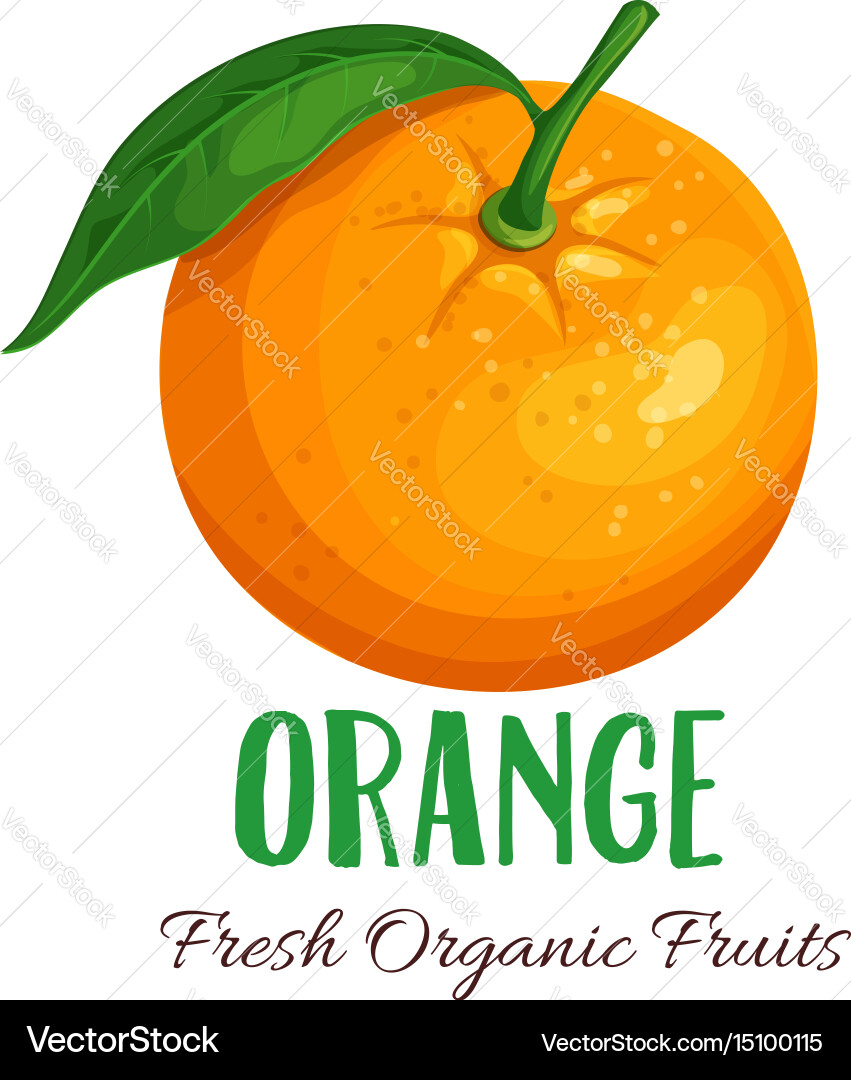 Orange Royalty Free Vector Image - VectorStock