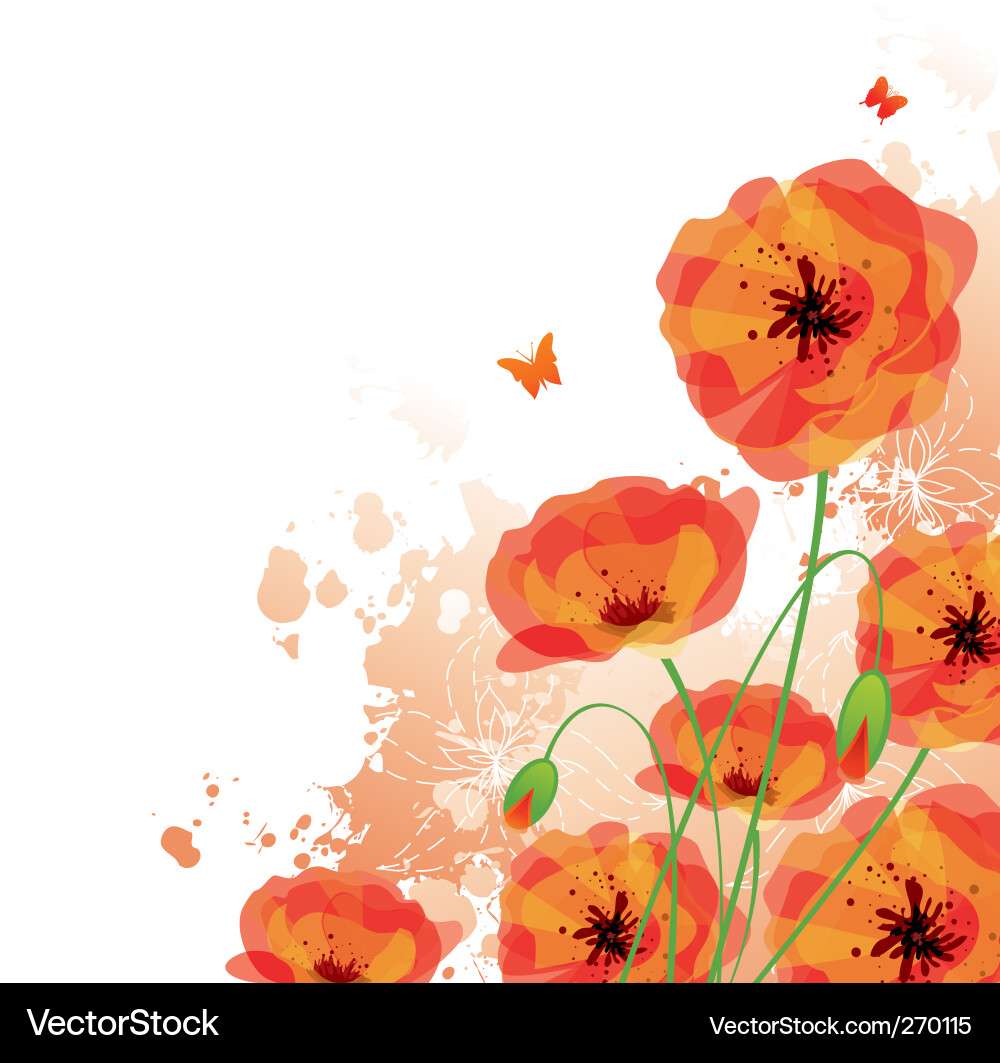 Red Poppy Floral Background Vector Image