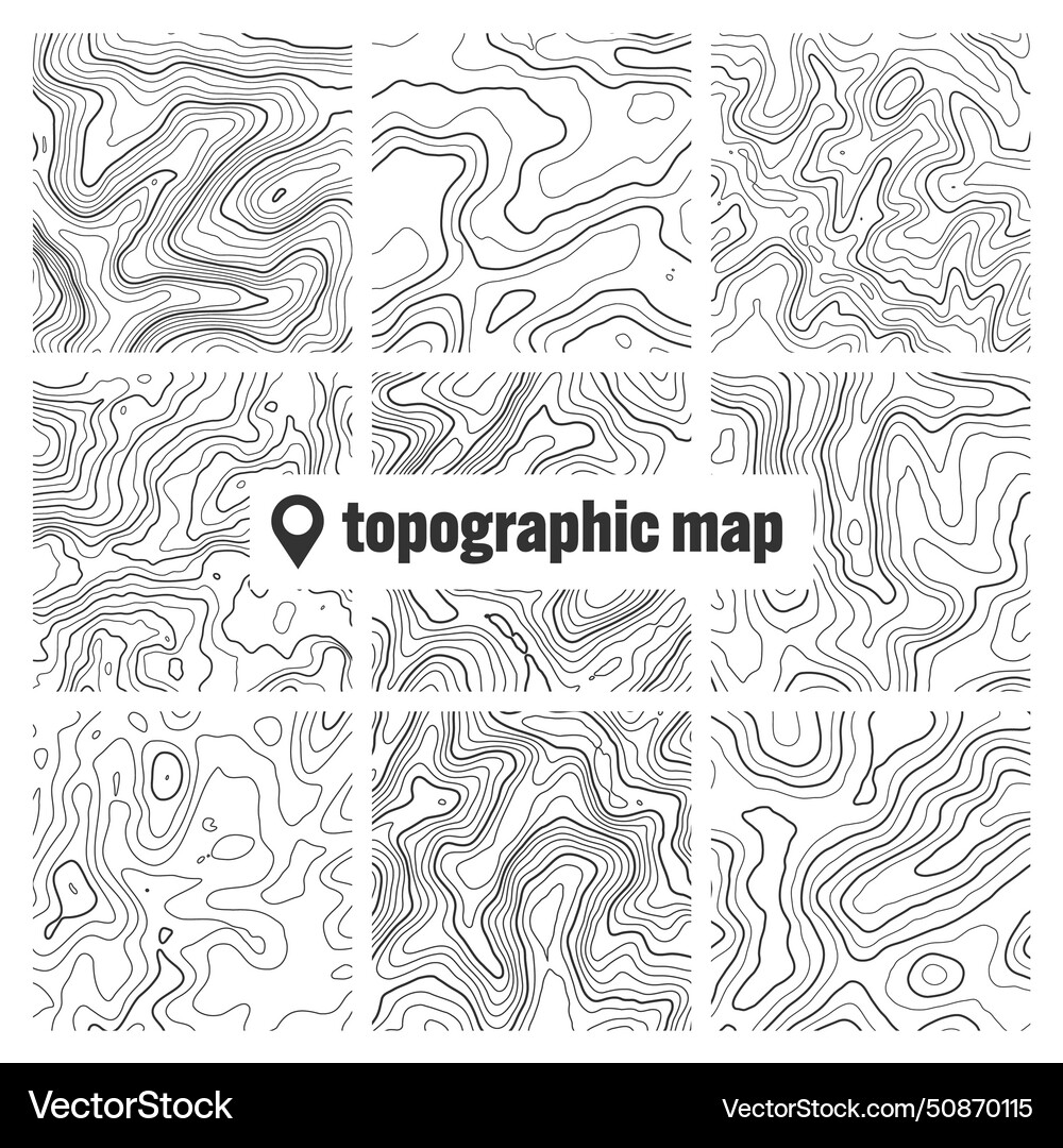 Topographic map with contour lines geographic Vector Image